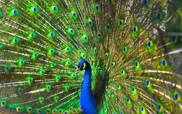 ����ح��ȸ������˲�䣬��������Ϣ����~