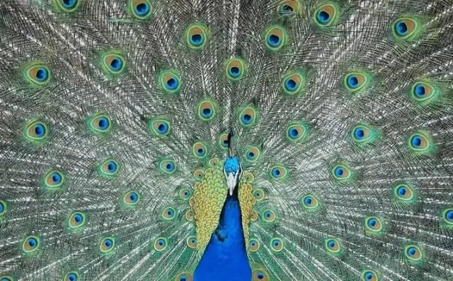 ����ح��ȸ������˲�䣬��������Ϣ����~