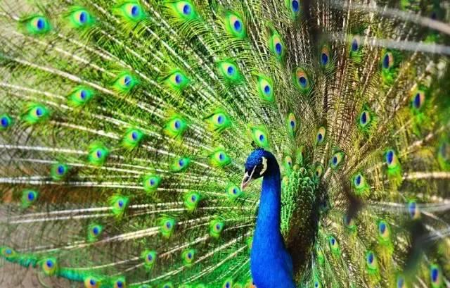 ����ح��ȸ������˲�䣬��������Ϣ����~