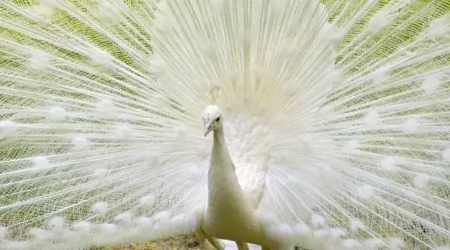 ����ح��ȸ������˲�䣬��������Ϣ����~