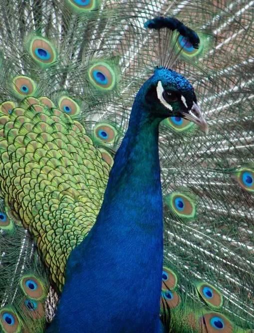 ����ح��ȸ������˲�䣬��������Ϣ����~