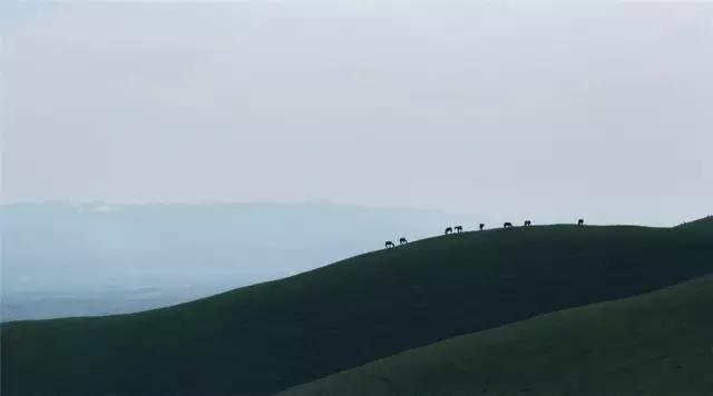 ����Բ�Ū���ʣ�����ö�������