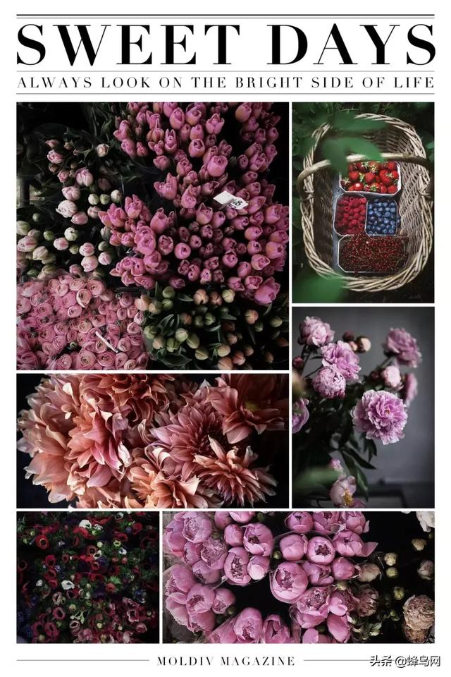 ��ǿ�ֻ�APP��һƪgetƴͼ�Ű��ˮӡȫ������