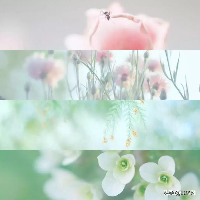 ��ǿ�ֻ�APP��һƪgetƴͼ�Ű��ˮӡȫ������