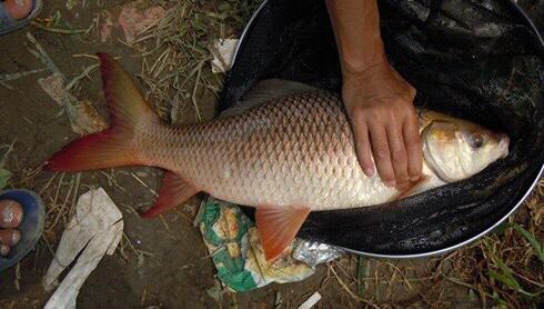 ����ķ���ͷֱ漼��