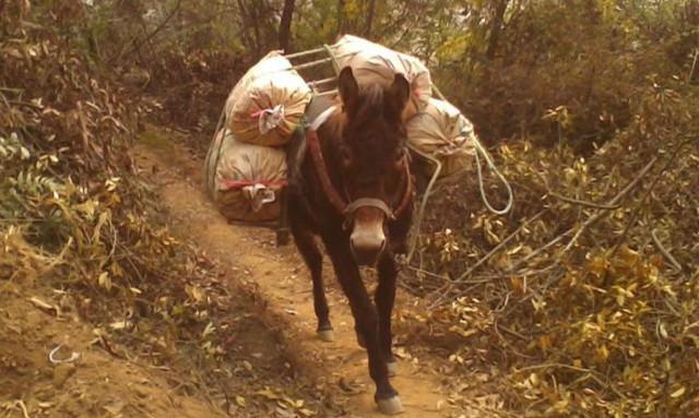 ũ�峣˵�������������������������֪��������ô����ô��