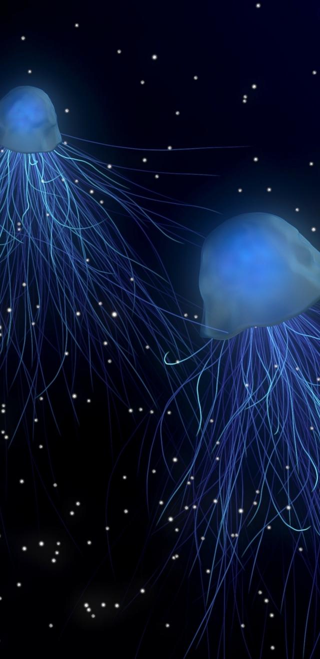 19������Sϵ��18:9����ȫ�����ֻ���ֽ ���ѣ�̫ϲ����