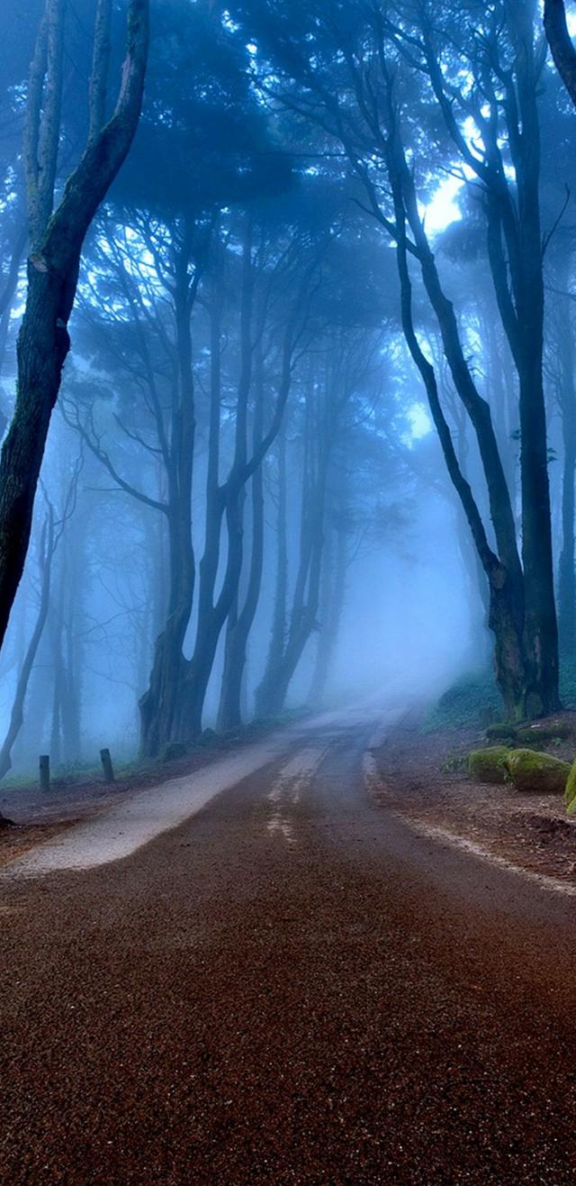 19������Sϵ��18:9����ȫ�����ֻ���ֽ ���ѣ�̫ϲ����