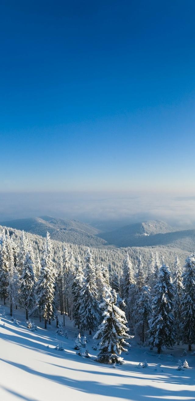 19������Sϵ��18:9����ȫ�����ֻ���ֽ ���ѣ�̫ϲ����