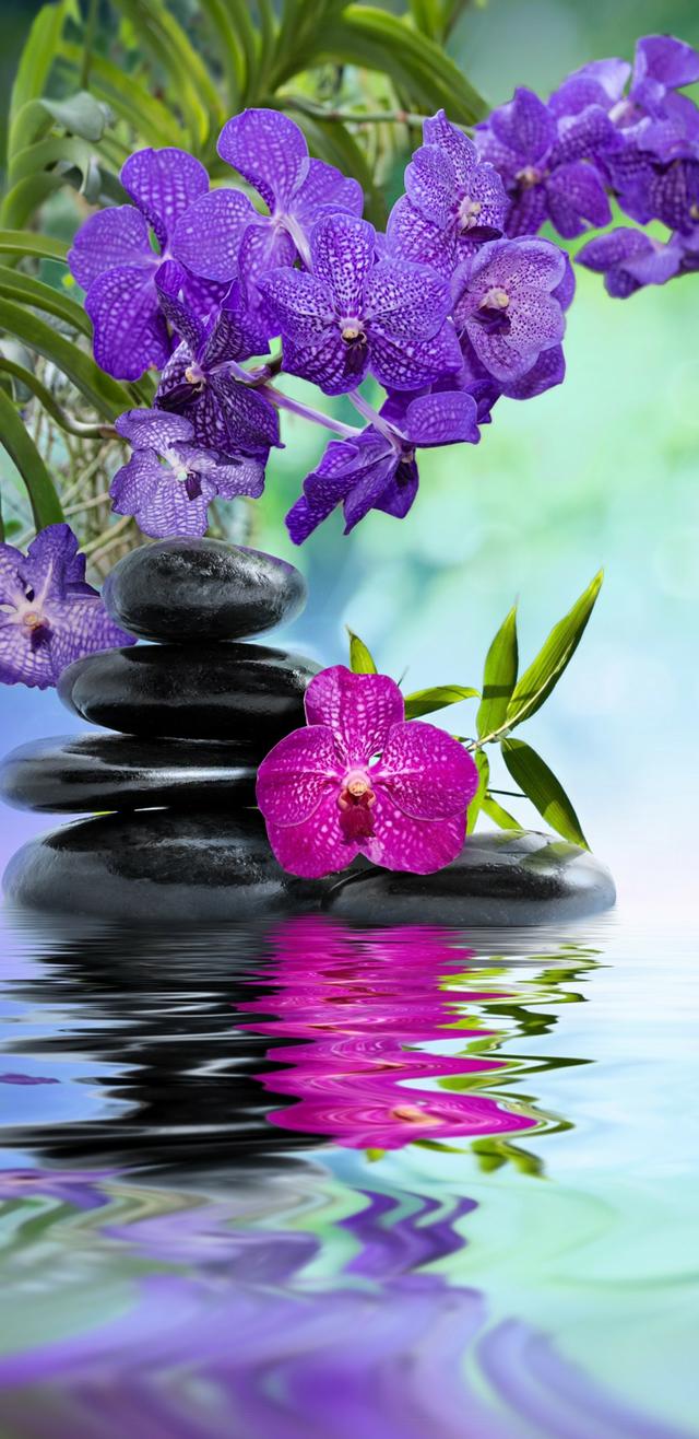 19������Sϵ��18:9����ȫ�����ֻ���ֽ ���ѣ�̫ϲ����