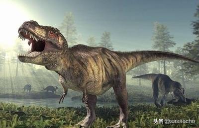 ������ְ����Ҳ���������壬������������ʱ����㯵��Լ�