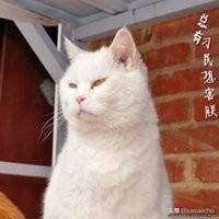 ������ְ����Ҳ���������壬������������ʱ����㯵��Լ�