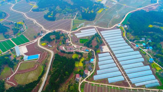 ʲô���ִ�ũҵ��ҵ԰���ִ�ũҵ��η�չ��Ч�ǻ���ʩ��ֲ