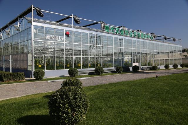 ʲô���ִ�ũҵ��ҵ԰���ִ�ũҵ��η�չ��Ч�ǻ���ʩ��ֲ