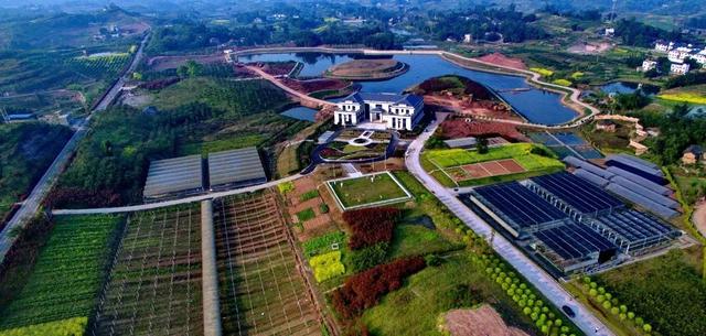 ʲô���ִ�ũҵ��ҵ԰���ִ�ũҵ��η�չ��Ч�ǻ���ʩ��ֲ