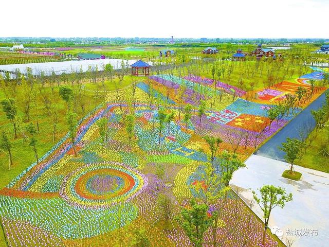 ʲô���ִ�ũҵ��ҵ԰���ִ�ũҵ��η�չ��Ч�ǻ���ʩ��ֲ