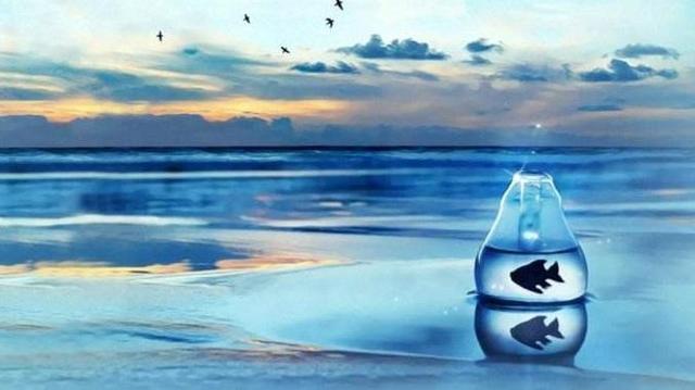 �������ĭ�����������ڽ�������������˵ʲô�أ�