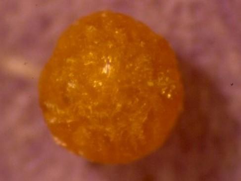 ��ѧ�ǶȽ��ͣ������Ӿ�����ʲô��