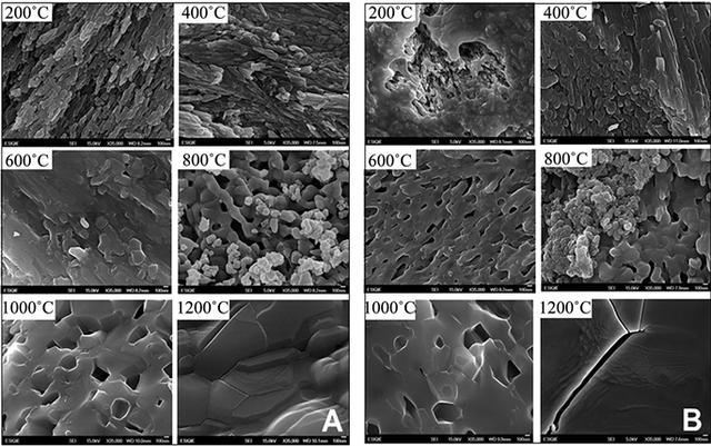 ��ѧ�ǶȽ��ͣ������Ӿ�����ʲô��