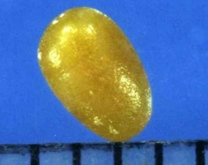 ��ѧ�ǶȽ��ͣ������Ӿ�����ʲô��