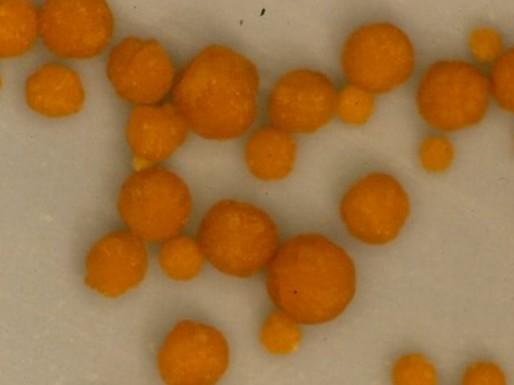 ��ѧ�ǶȽ��ͣ������Ӿ�����ʲô��