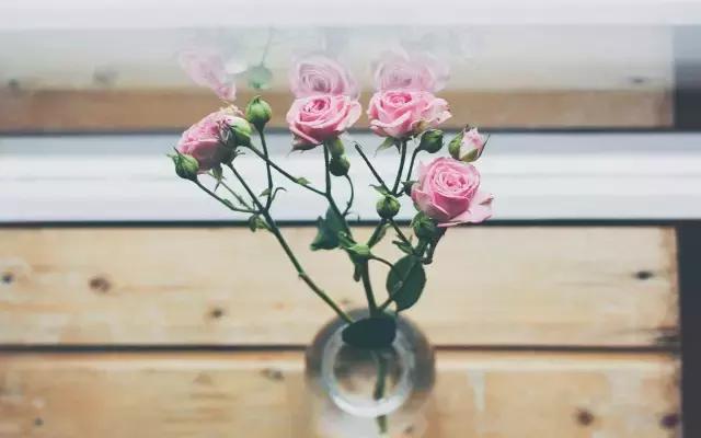 ѧ���ͬ���ܣ�Ҳ���н���������