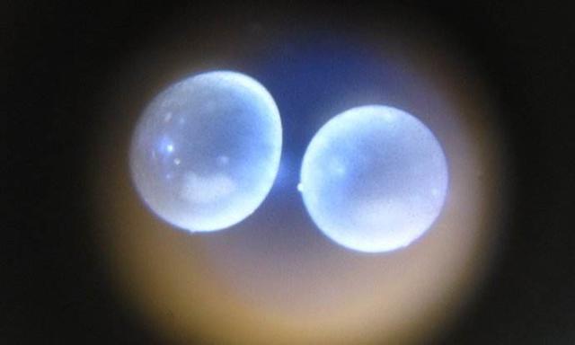 ��Ϊ�����ӣ�4����Ժ�У���������������