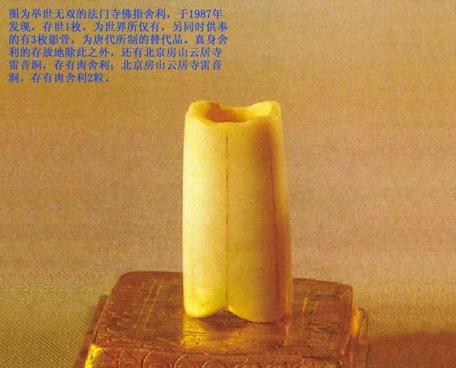 ��Ϊ�����ӣ�4����Ժ�У���������������