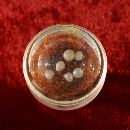 ��Ϊ�����ӣ�4����Ժ�У���������������