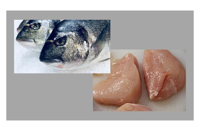 ����Ϊ���ܳ�Ϊȫ�������ͷ���������͵���ʤ��Ӫģʽ