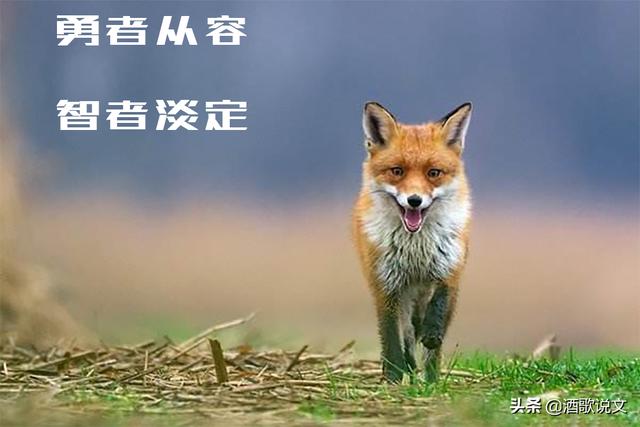 ���ױ���ŭ��ʱ�������㲣��㲻�ǲ�Ŭ�������ǲ�������