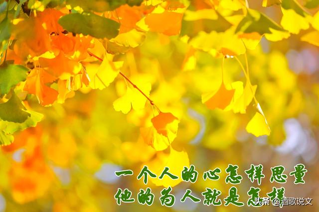 ���ױ���ŭ��ʱ�������㲣��㲻�ǲ�Ŭ�������ǲ�������