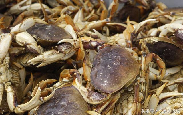 �ּ��ǳ��з�����ʱ�򣬺����ϰ����3��С���ɣ�ѧ�����ֹ�ĸ