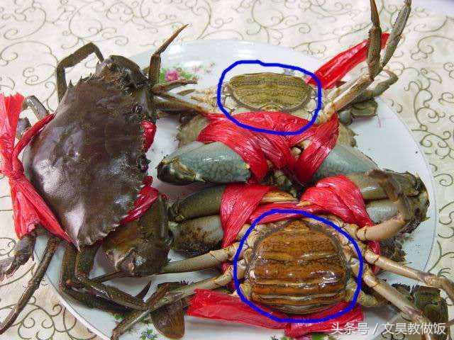 �ּ��ǳ��з�����ʱ�򣬺����ϰ����3��С���ɣ�ѧ�����ֹ�ĸ