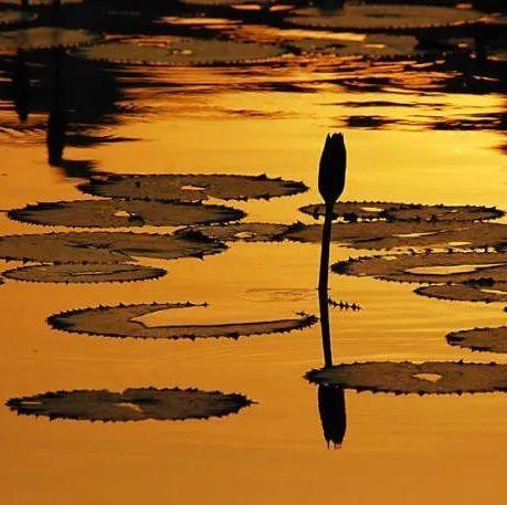 ������ˮ����������