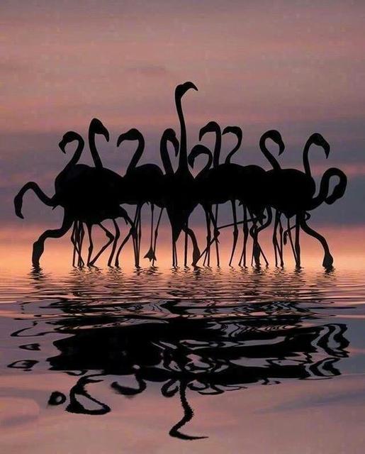 ������ˮ����������