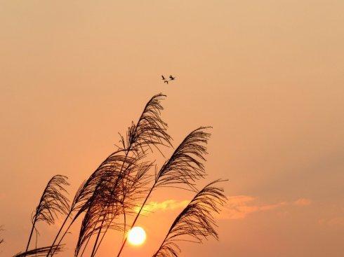 ������ˮ����������