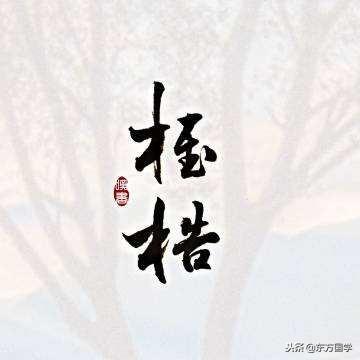 ��������ѧԭ��������������ʲô������