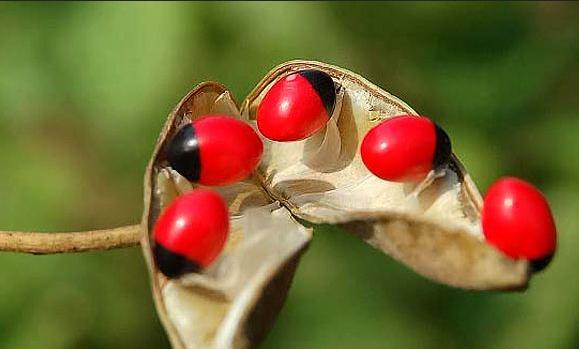 ����д������һ�仰��ʲô��