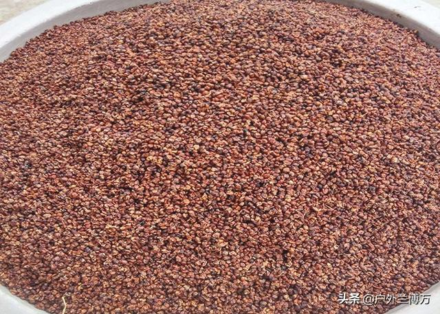 �����㲻֪����ʲô���ϣ��������²����ƶ�������Ч������