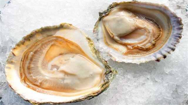 �����������5���ʣ����޻ʵ�з�ϰ�ֻ���������ܳԵ���