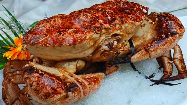 �����������5���ʣ����޻ʵ�з�ϰ�ֻ���������ܳԵ���