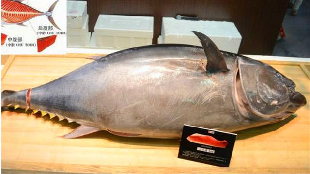 �����������5���ʣ����޻ʵ�з�ϰ�ֻ���������ܳԵ���