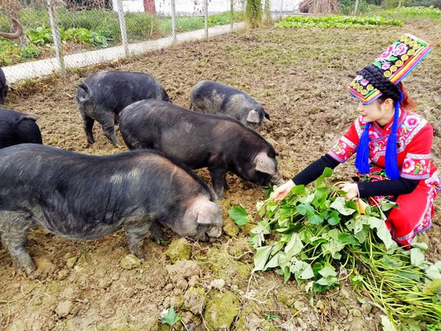 Ϊ�δ�ë����ߣ���Ϊ���������ˣ�