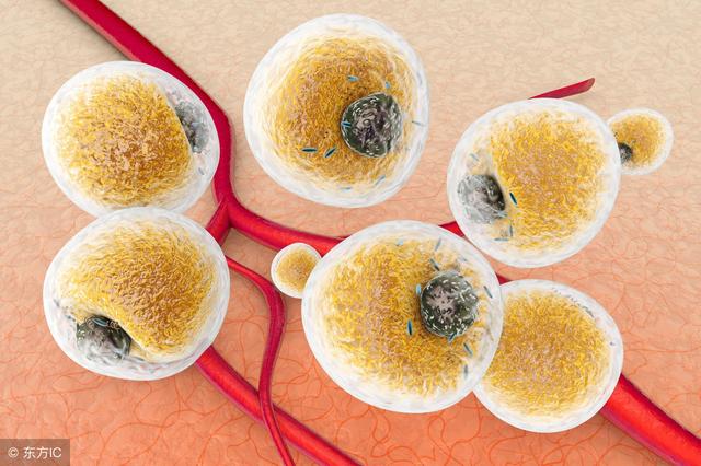 ޲��������Щ��Ч����3����Ч��Ϊ���ԣ���ϧ�������˽�