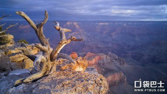 LG G4�ֻ���ô�� LG G4������ȱ�����