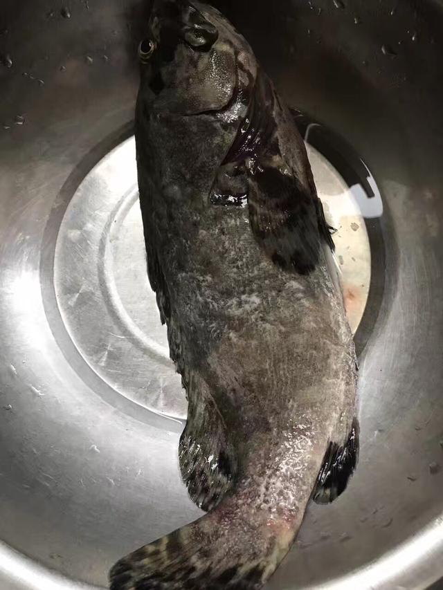 ʯ�����20��������ζ���ǳ���������ԸϽ��³����԰ɣ�����ڣ�