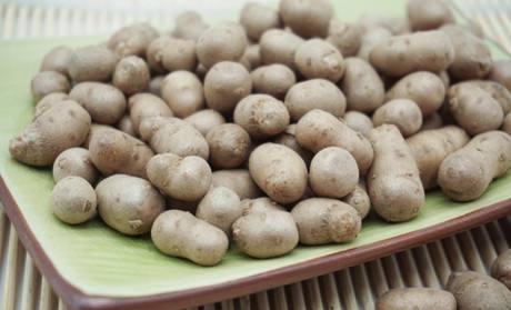 ɽҩ����ô������Ӫ�� ɽҩ����ɽҩ��ʲô����