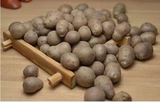 ɽҩ����ô������Ӫ�� ɽҩ����ɽҩ��ʲô����