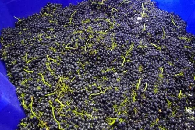 ���Ѿ�Ʒ������֮ʲô�ǵ�����